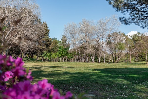 Parque da Cidade do Porto 5