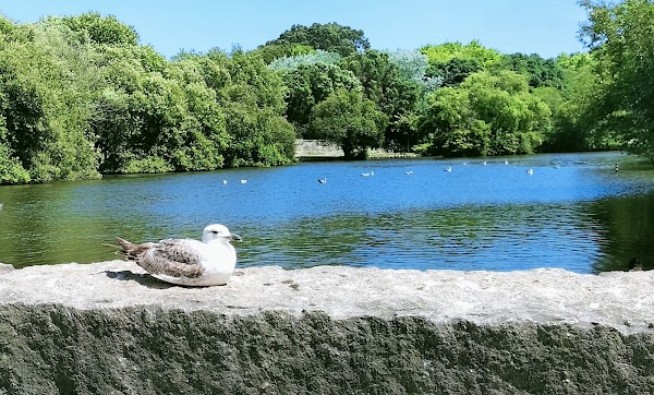 Parque da Cidade do Porto 4