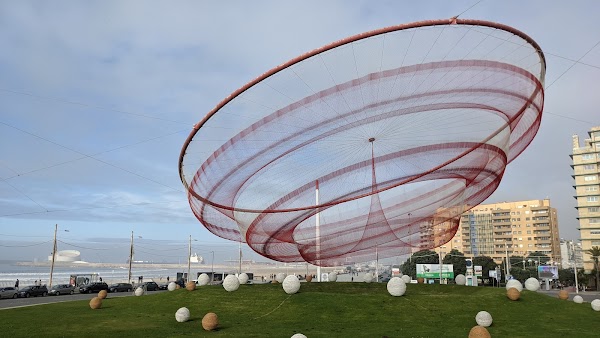 Parque da Cidade do Porto 2