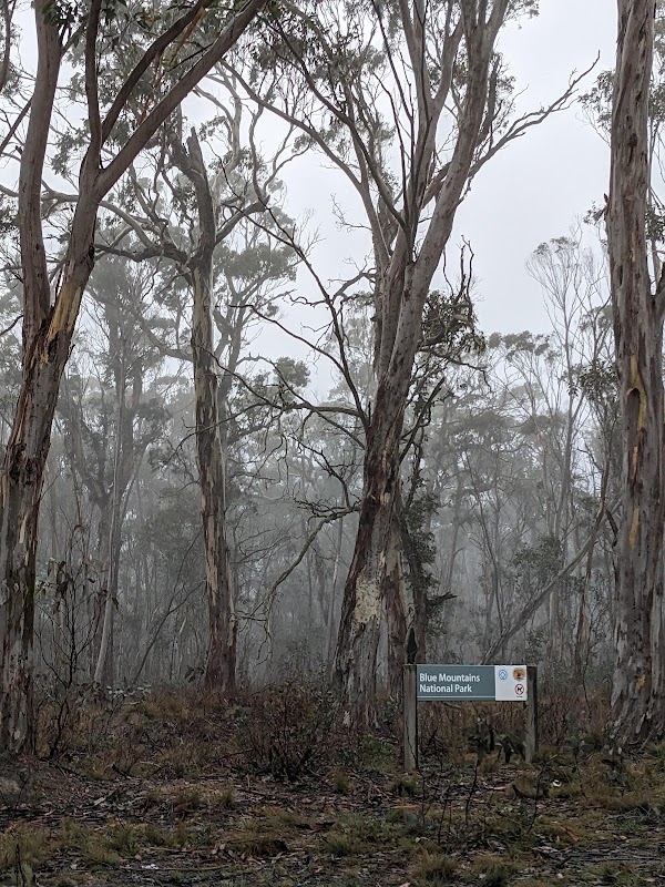 4WD Oberon Colong historic stock route 1