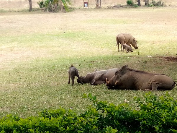 Bomas Of Kenya 2