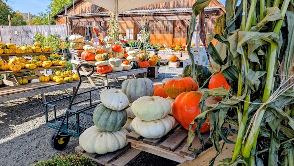 Woodstock Farmers' Market 2