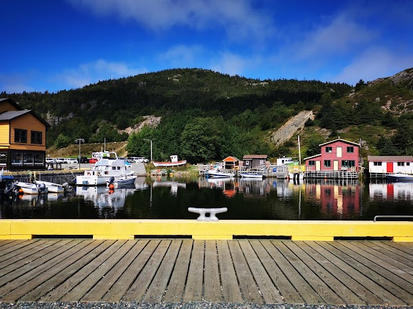 Quidi Vidi Village Road 3