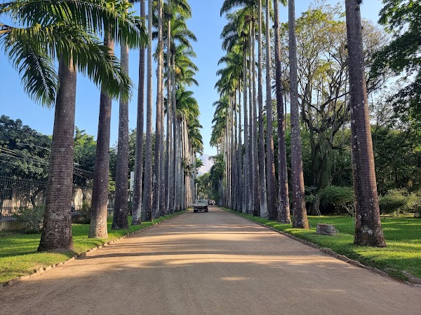 Botanical Garden of Rio de Janeiro