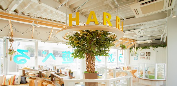 HARRY HARAJUKU terrace 1