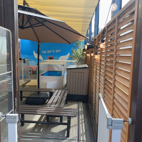 HARRY HARAJUKU terrace 2