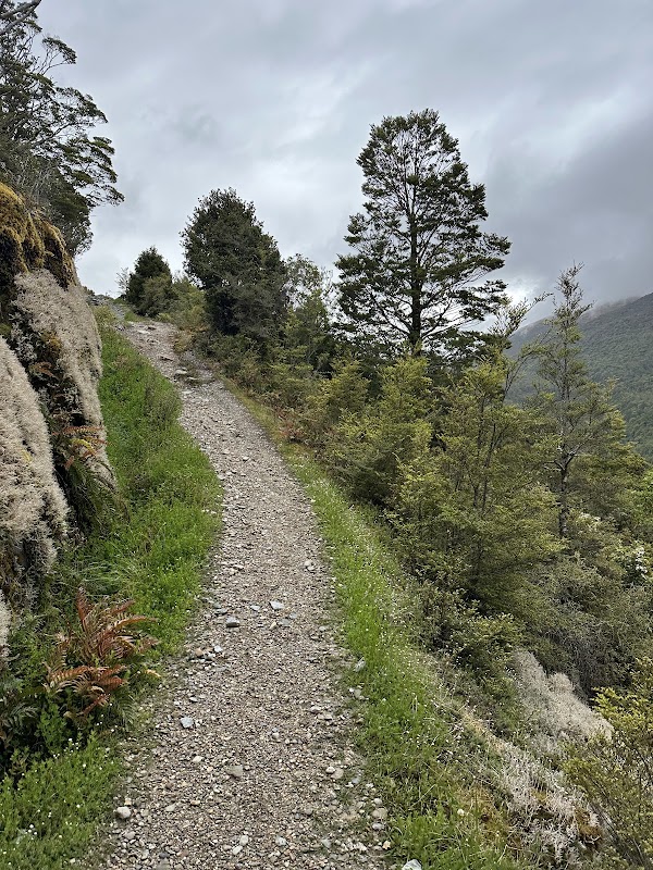 Haast Pass Lookout 5