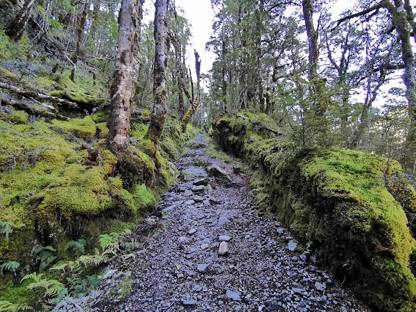 Haast Pass Lookout 4