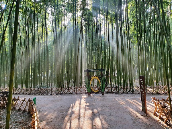 Taehwagang National Garden 1