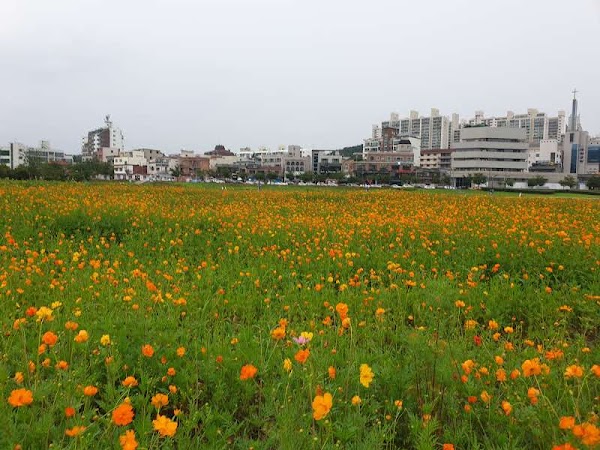 Taehwagang National Garden 5