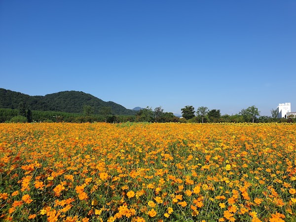 Taehwagang National Garden 4