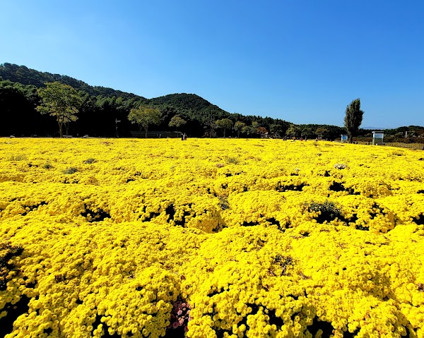 Taehwagang National Garden 3