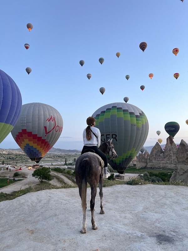 Dalton Kardeşler At Çiftliği 3