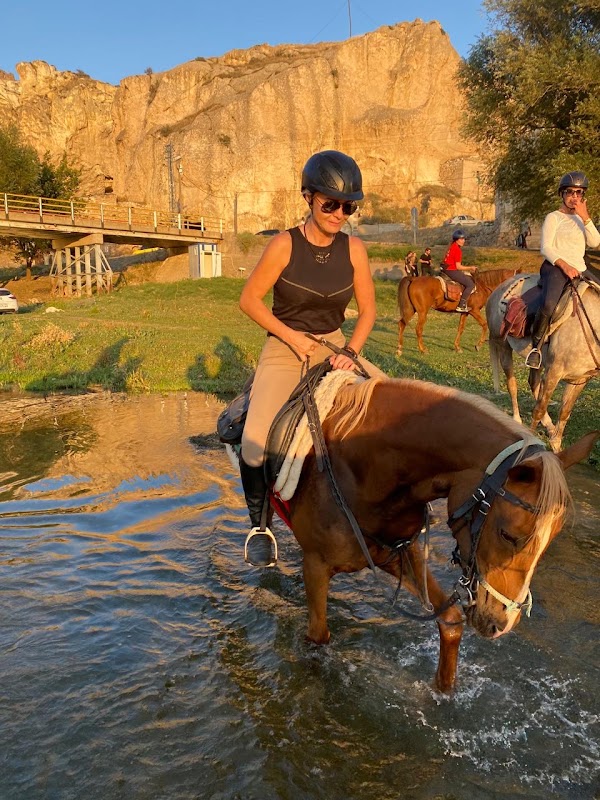 Dalton Kardeşler At Çiftliği 2