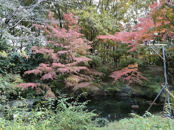 Uji City Botanical Park 2