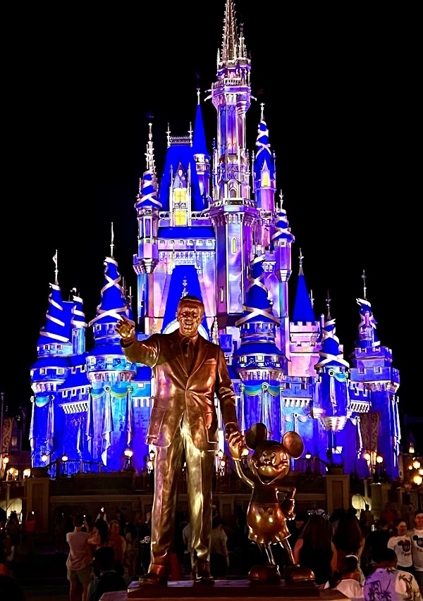 Cinderella Castle 5