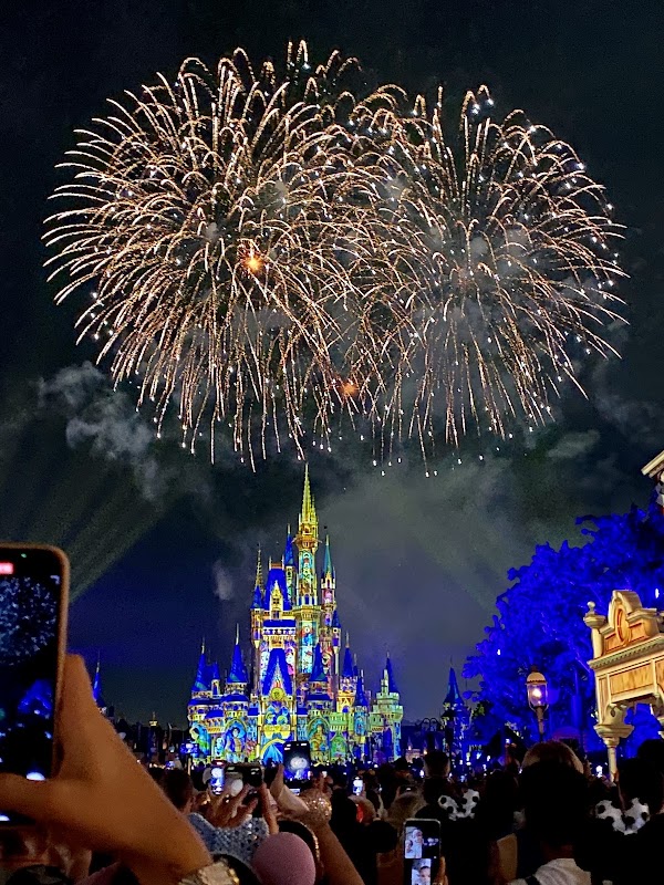 Cinderella Castle 4