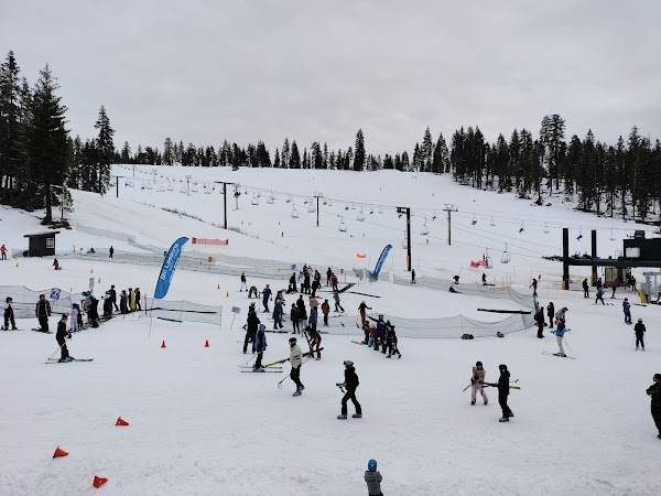 Dodge Ridge Mountain Resort 4