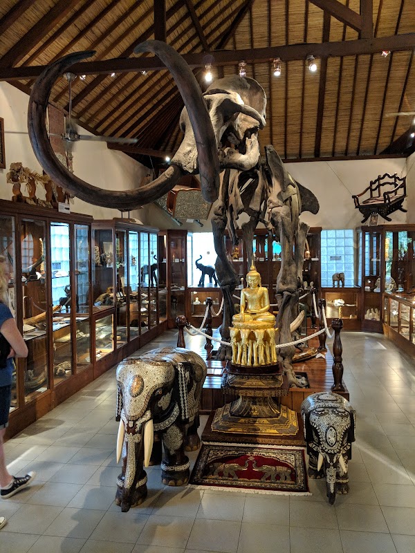 Elephant Safari Park Lodge Bali 4