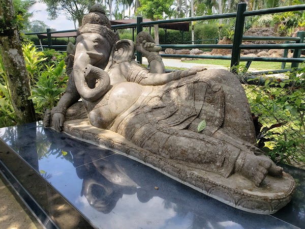 Elephant Safari Park Lodge Bali 3