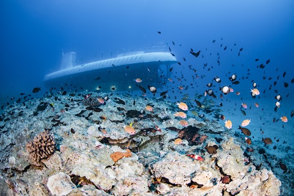 Atlantis Submarines Maui