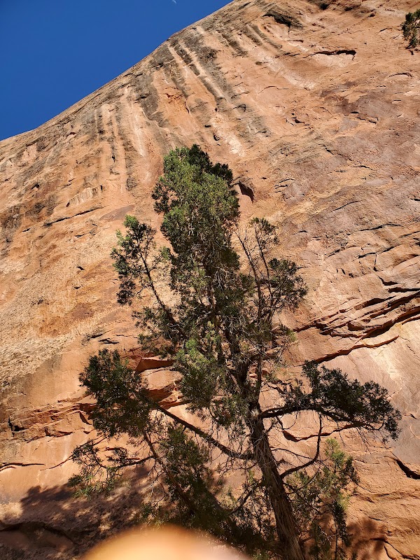 Halls Creek Narrows 2