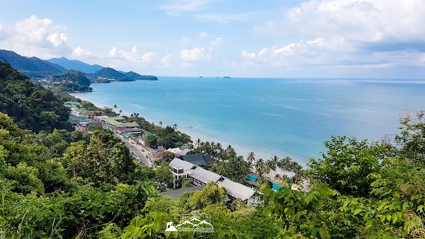 View point