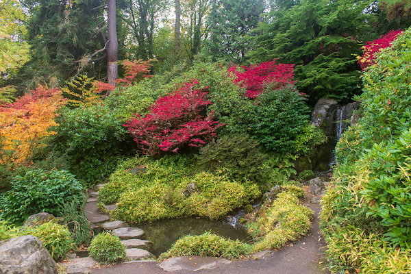 Kubota Garden 5