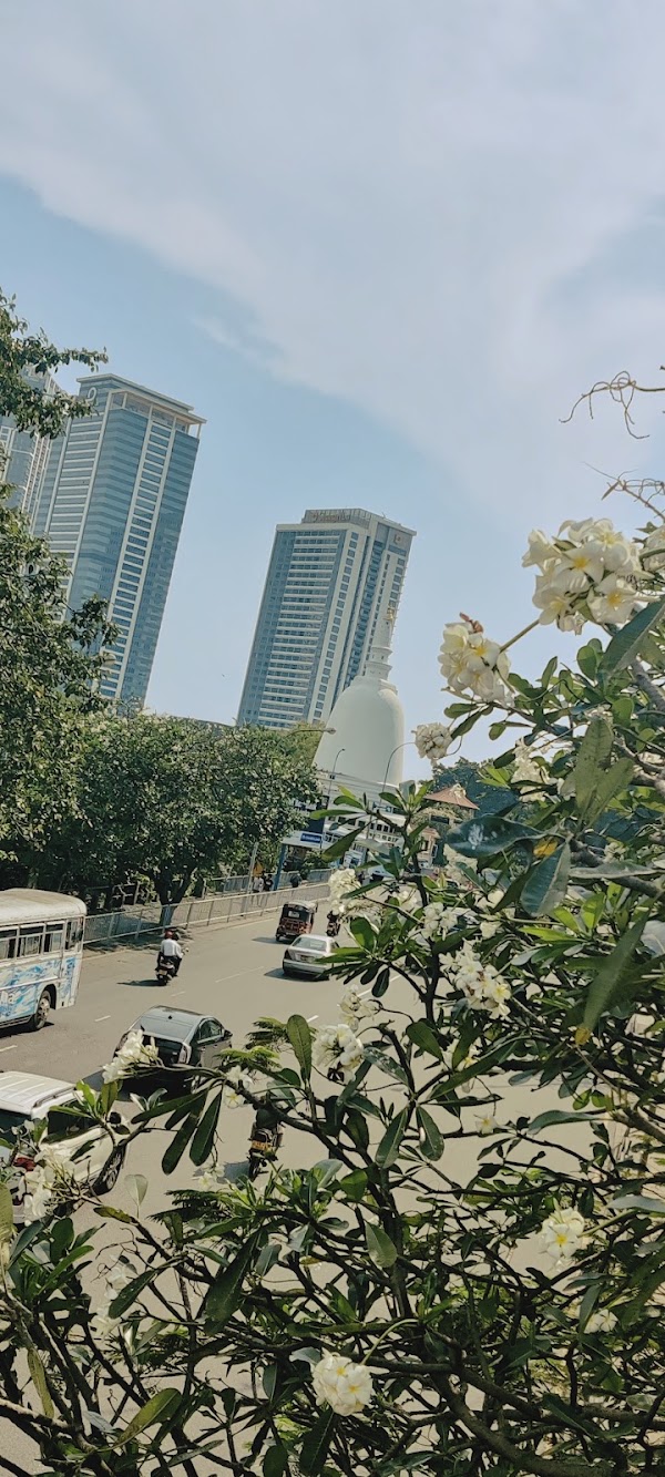 Colombo 4
