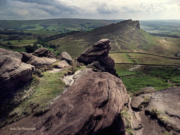 The Roaches