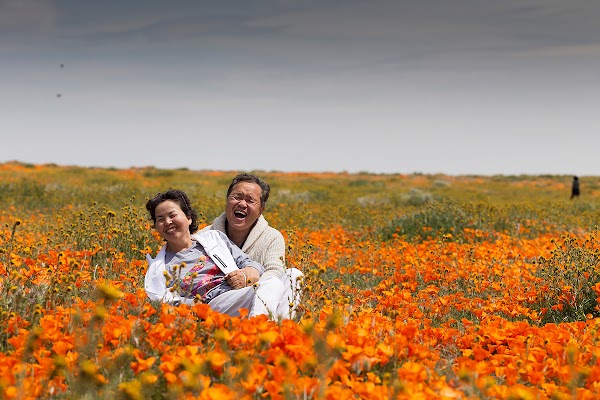 Antelope Valley 4