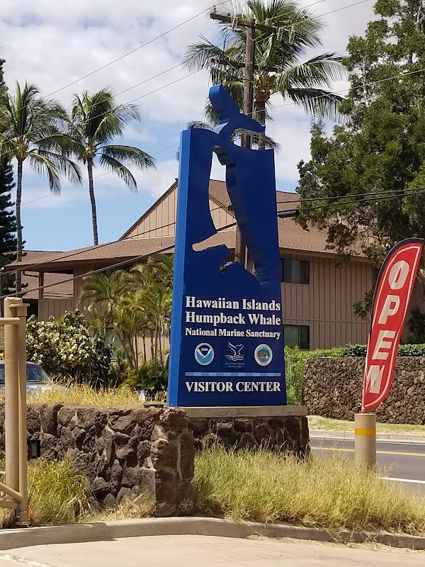 Hawaiian Islands Humpback Whale National Marine Sanctuary Visitor Center 5