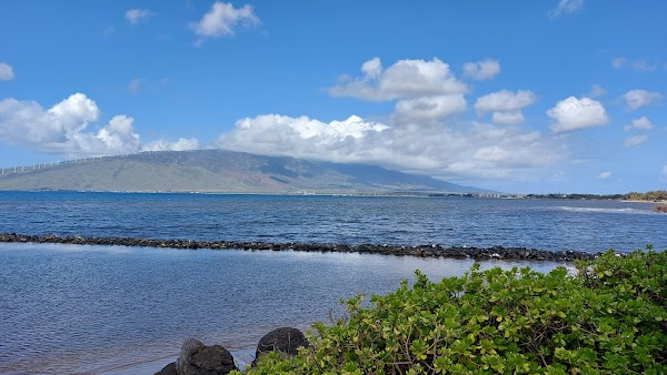 Hawaiian Islands Humpback Whale National Marine Sanctuary Visitor Center 4