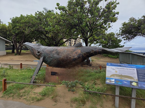 Hawaiian Islands Humpback Whale National Marine Sanctuary Visitor Center 3