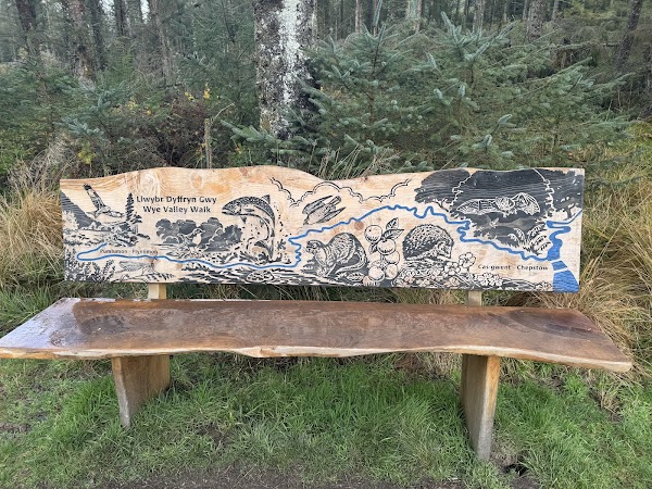 Hafren Forest 2
