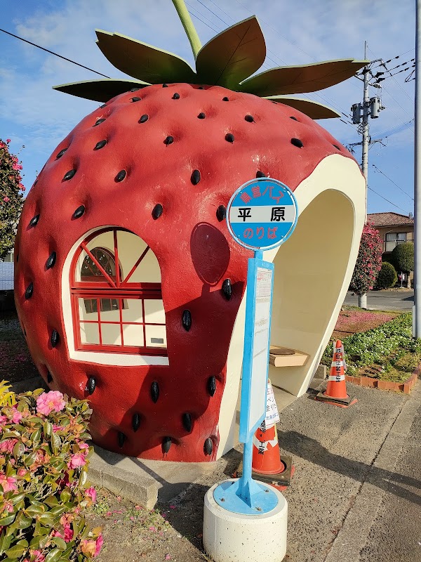 Strawberry Bus Stop