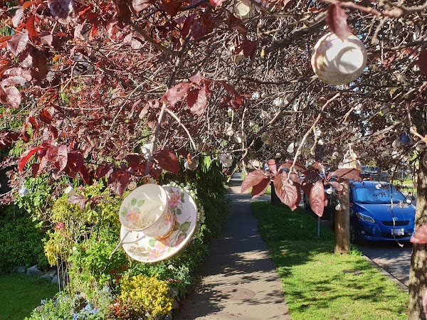 Tea Cup Tree