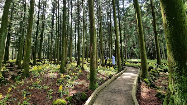 Jeolmul Natural Recreation Forest 5