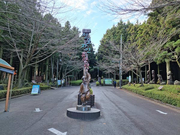 Jeolmul Natural Recreation Forest 4