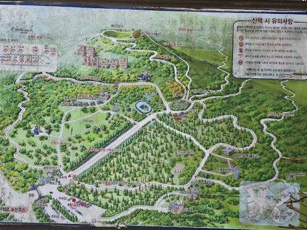 Jeolmul Natural Recreation Forest 3