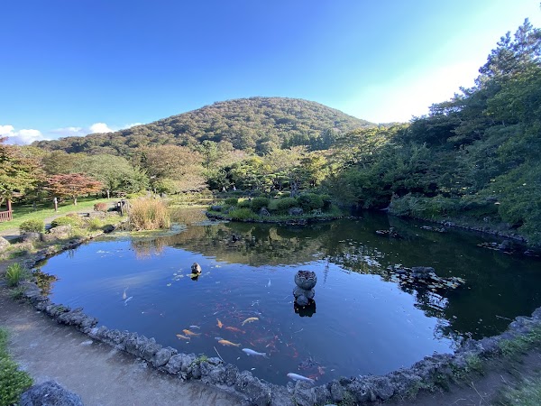Jeolmul Natural Recreation Forest 2