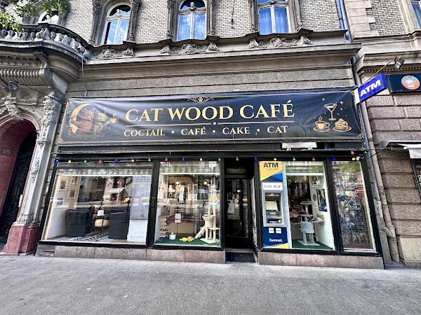 Cat Wood Café 1