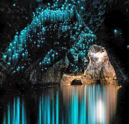 Waitomo Caves 1