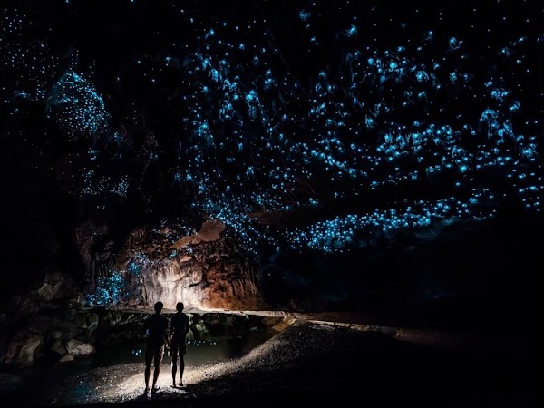 Waitomo Caves 5