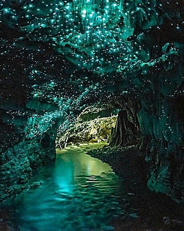 Waitomo Caves 4
