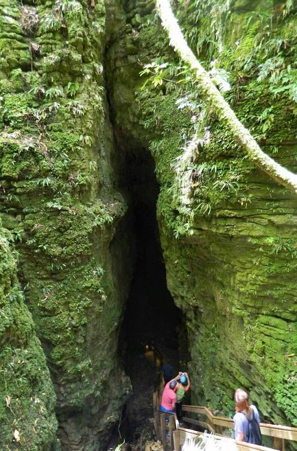 Waitomo Caves 2