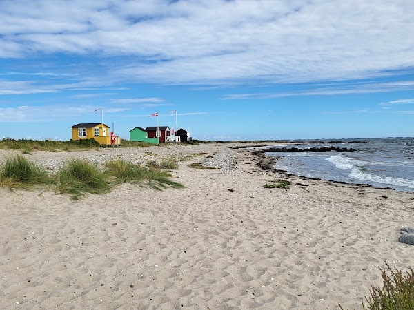 Eriks Hale Strand 1