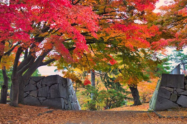 Morioka Castle Ruins 4
