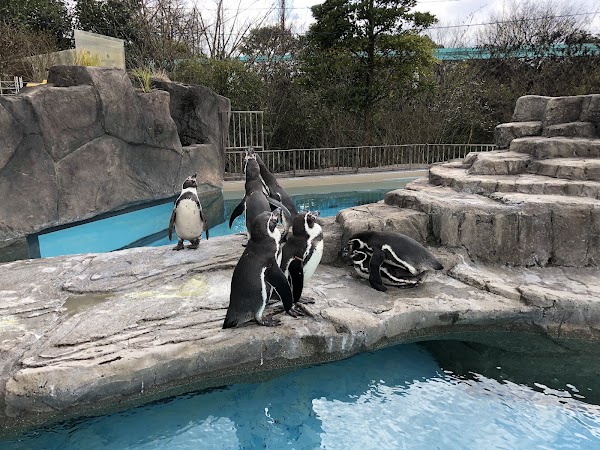 Kumamoto City Zoo and Botanical Garden 5