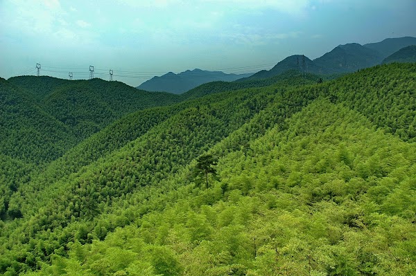 China Dazhuhai 5